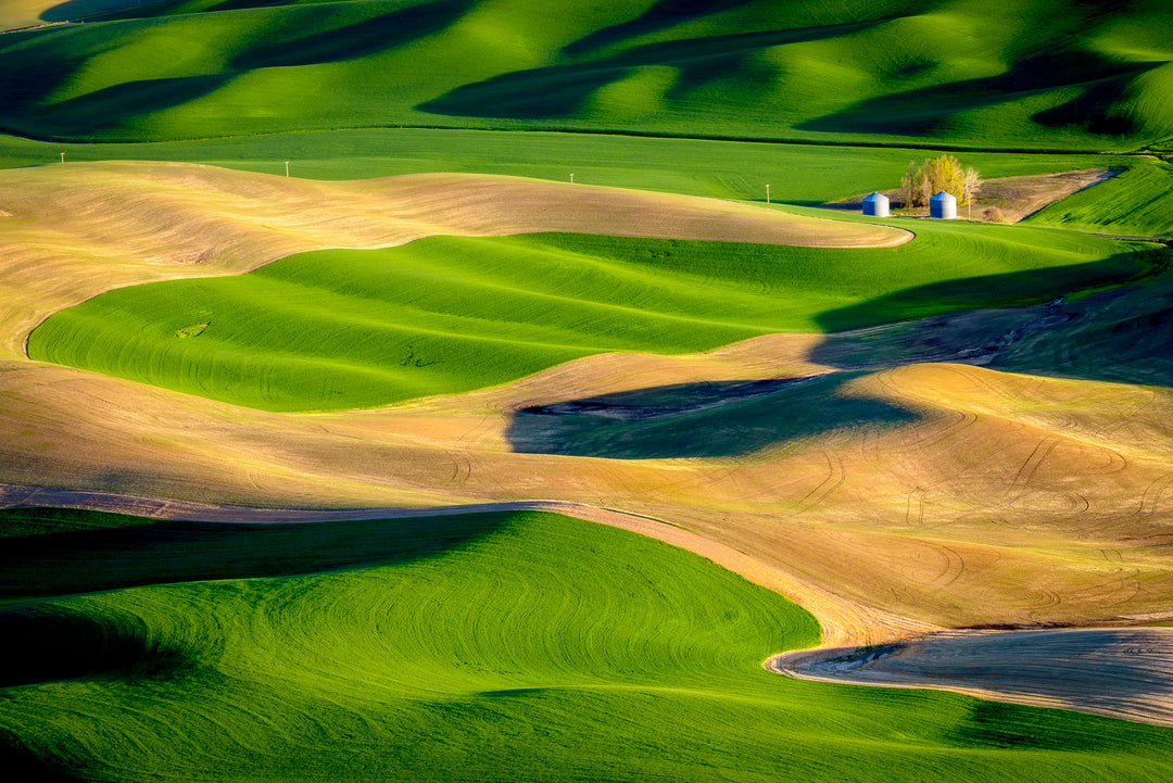 Palouse Hills from Steptoe Butte, WA