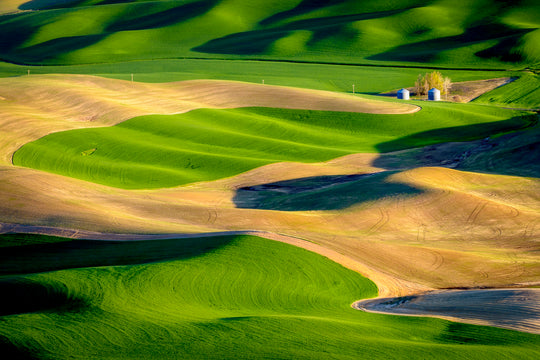 Palouse Hills from Steptoe Butte, WA