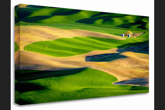 Palouse Hills from Steptoe Butte, WA - Canvas Gallery Wrap