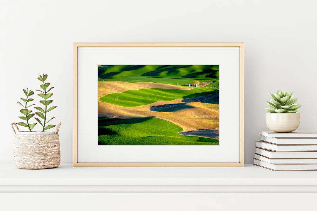Palouse Hills from Steptoe Butte, WA - Framed Lustre Print