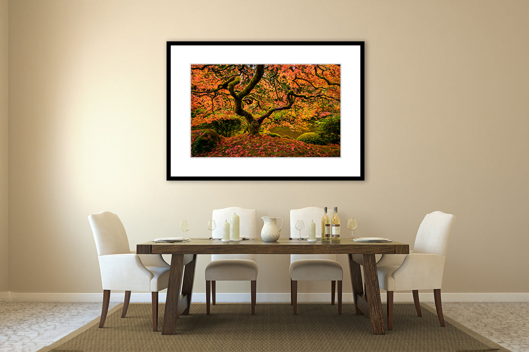 Maple Tree in Autumn, Portland Japanese Garden, OR - Framed Lustre Print on Wall