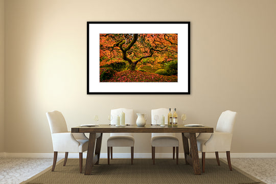 Maple Tree in Autumn, Portland Japanese Garden, OR - Framed Lustre Print on Wall