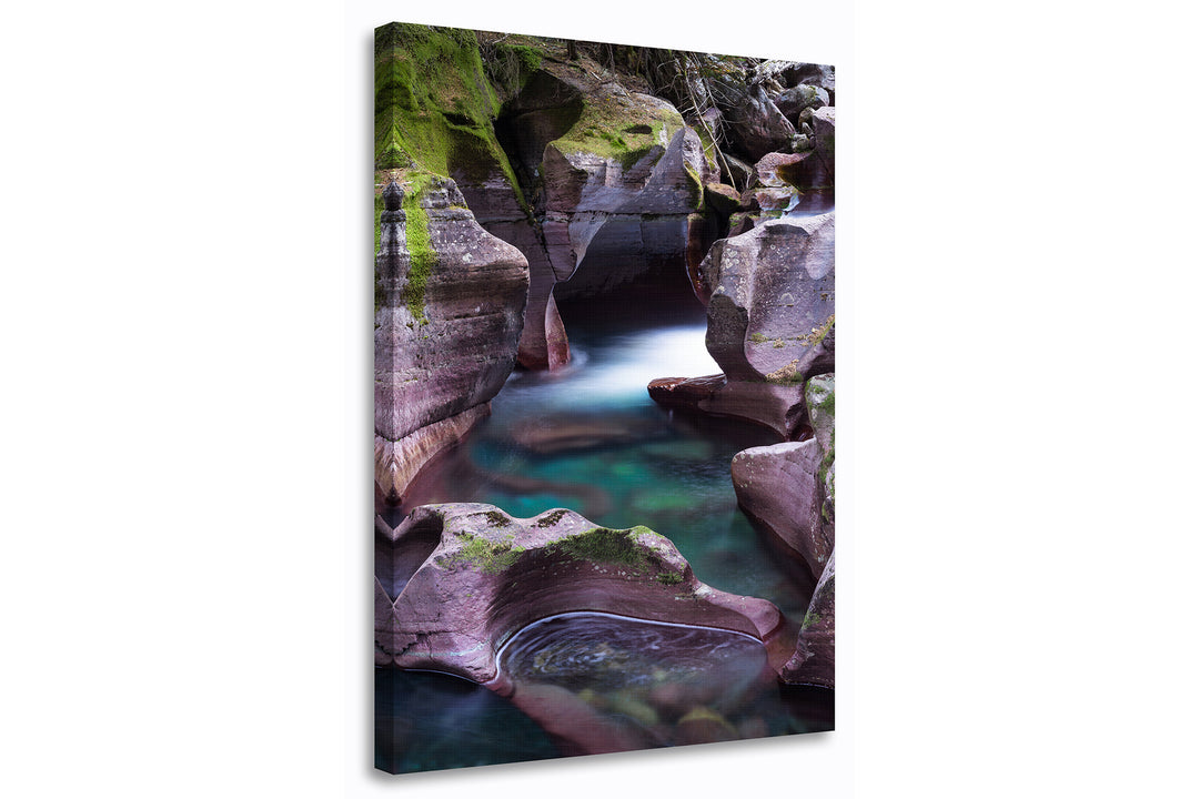 Avalanche Gorge, Glacier National Park, MT Vertical - Canvas Gallery Wrap