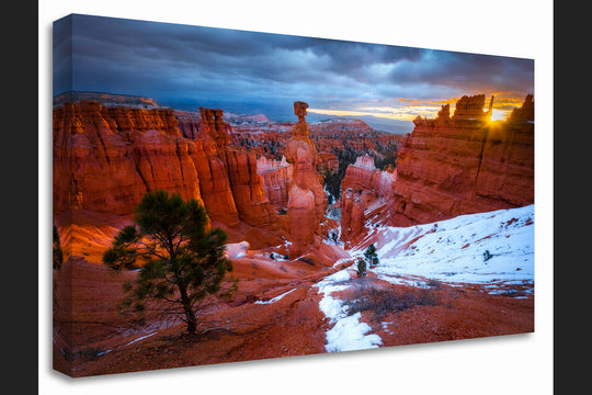 Thor's Hammer at Sunrise, Bryce Canyon National Park, UT - Canvas Gallery Wrap