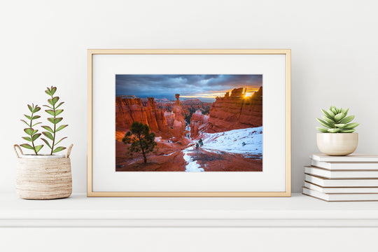Thor's Hammer at Sunrise, Bryce Canyon National Park, UT - Framed Lustre Print