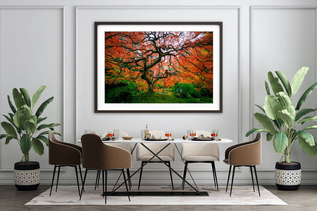 Maple Tree with Fall Colors, Portland Japanese Garden, OR - Framed Lustre Print on Wall