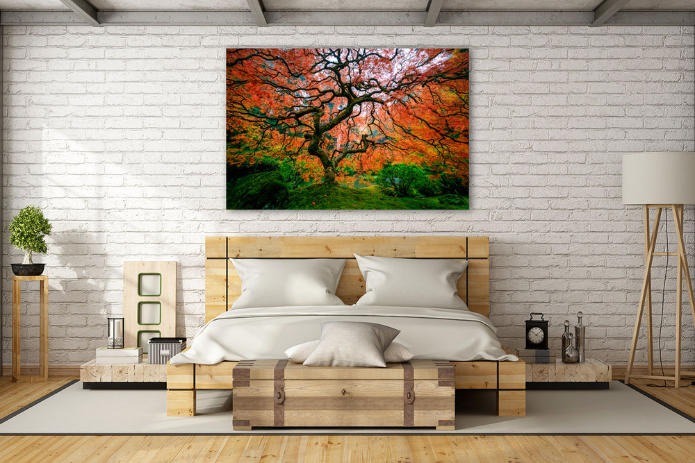 Maple Tree with Fall Colors, Portland Japanese Garden, OR - Metal Print