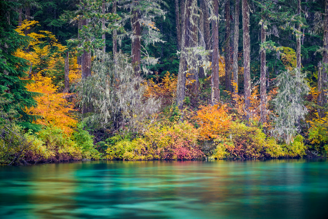 Clear Lake Fall Colors, OR