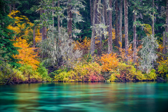 Clear Lake Fall Colors, OR
