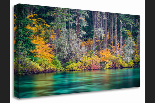 Clear Lake Fall Colors, OR - Canvas Gallery Wrap