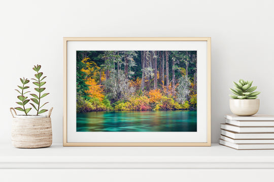 Clear Lake Fall Colors, OR - Framed Lustre Print