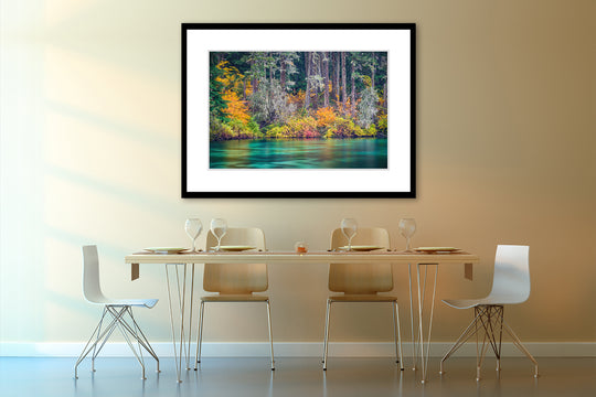 Clear Lake Fall Colors, OR - Framed Lustre Print on Wall