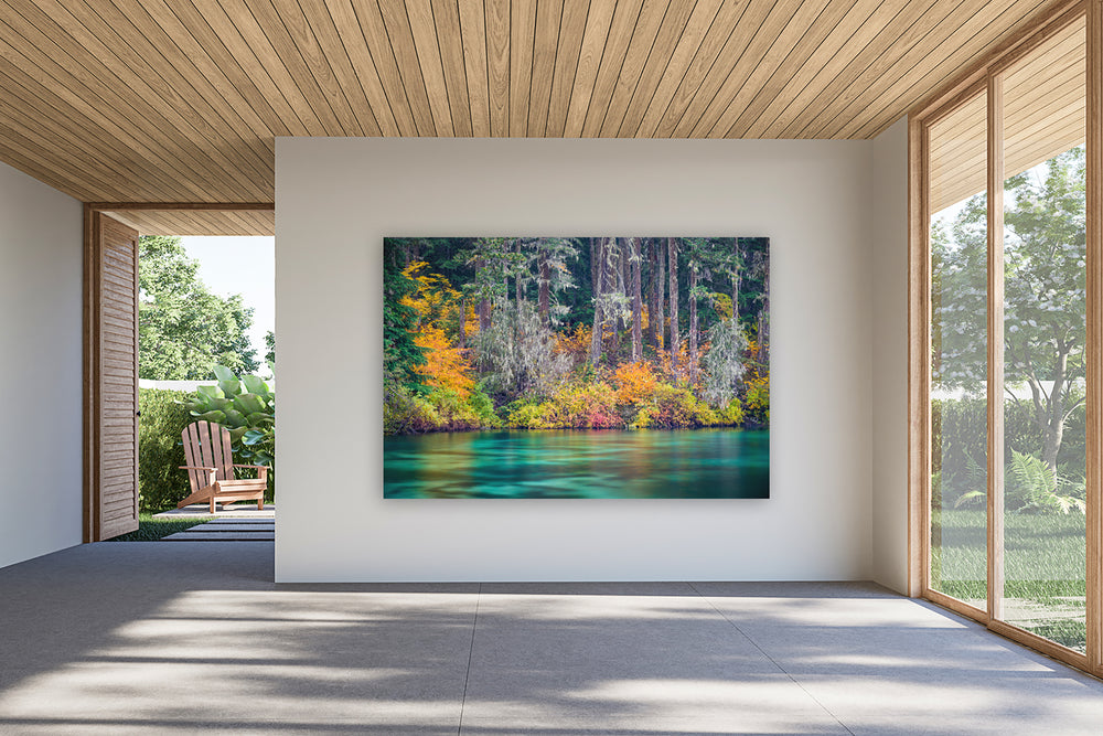 Clear Lake Fall Colors, OR - Metal Print