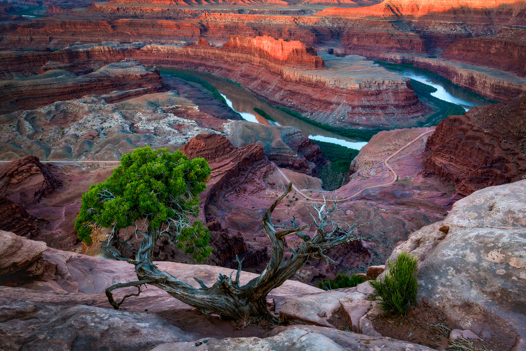 Dead Horse Point State Park at Sunrise, UT