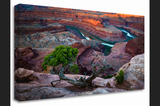 Dead Horse Point State Park at Sunrise, UT - Canvas Gallery Wrap