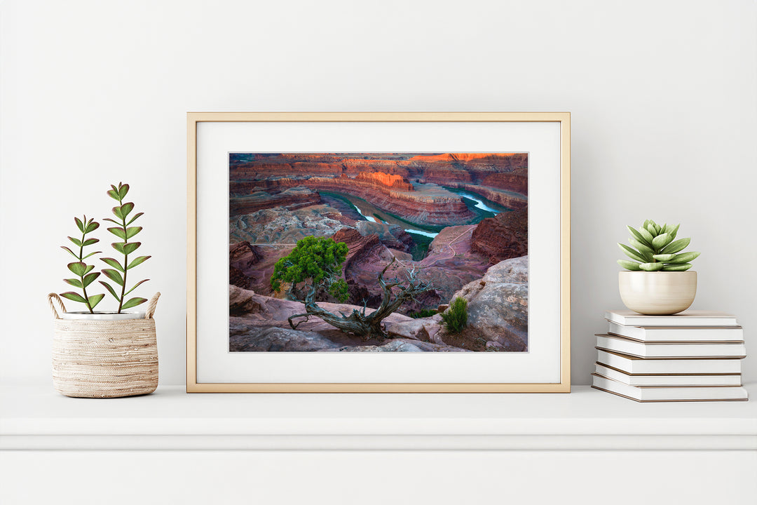 Dead Horse Point State Park at Sunrise, UT - Framed Lustre Print