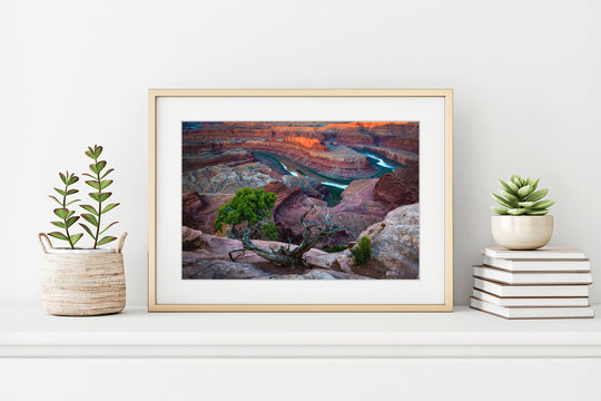 Dead Horse Point State Park at Sunrise, UT - Framed Lustre Print