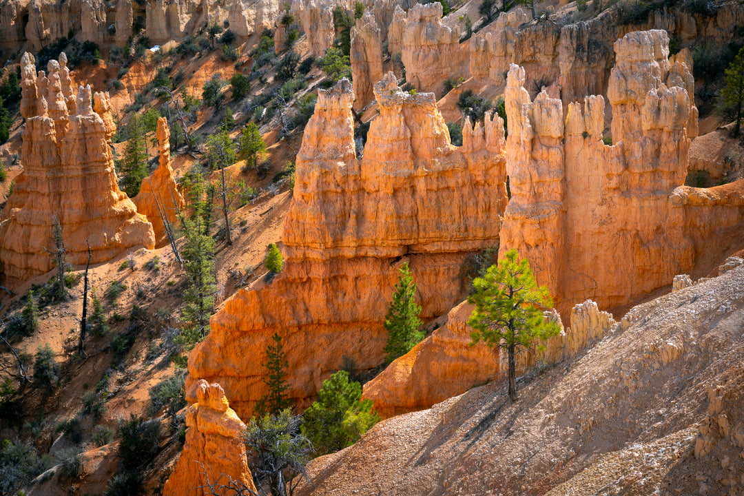 Fairyland Point, Bryce Canyon National Park, UT