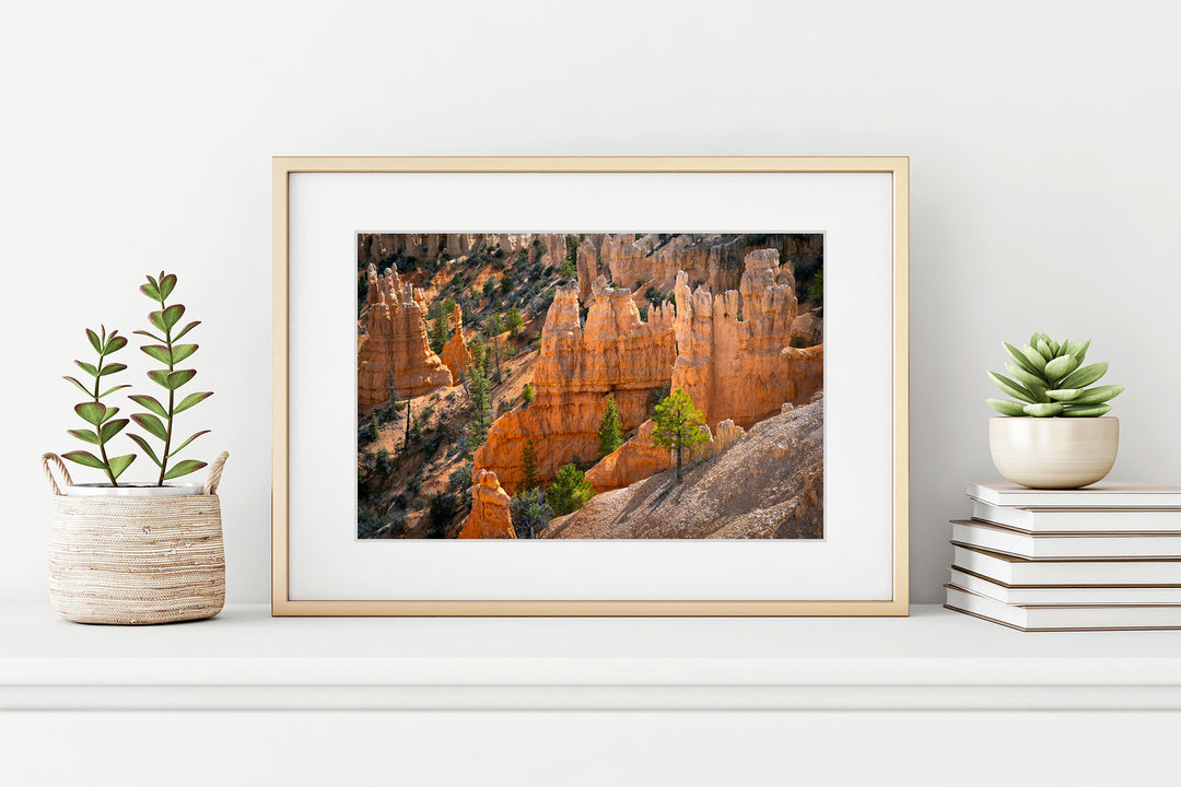 Fairyland Point, Bryce Canyon National Park, UT - Framed Lustre Print