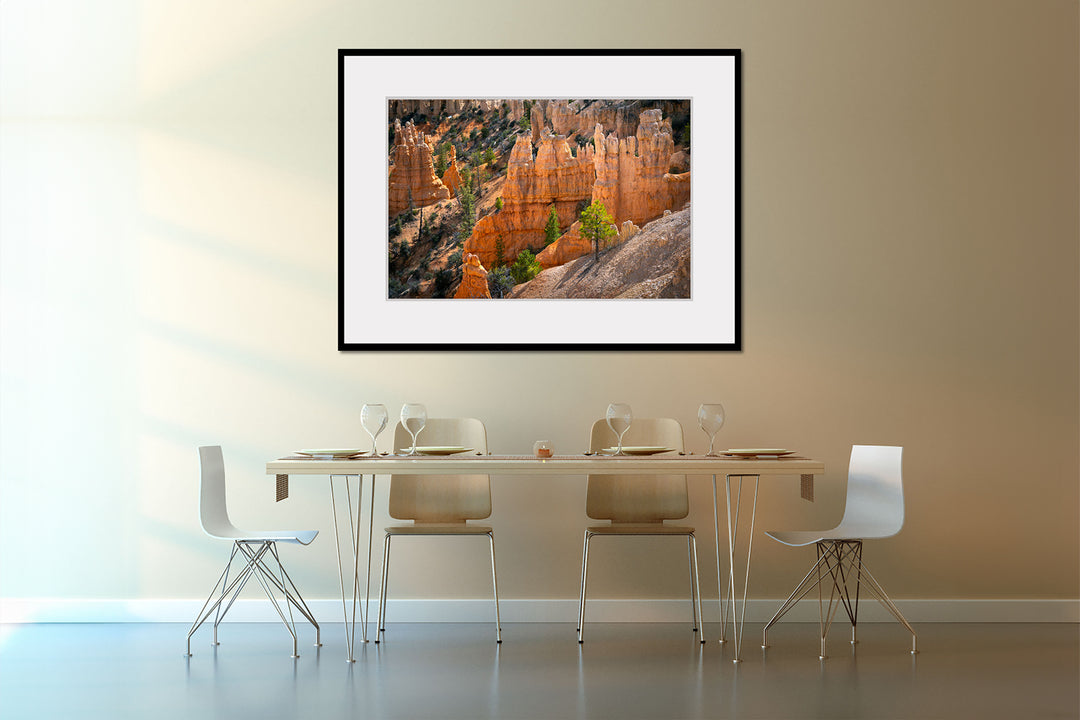 Fairyland Point, Bryce Canyon National Park, UT - Framed Lustre Print on Wall