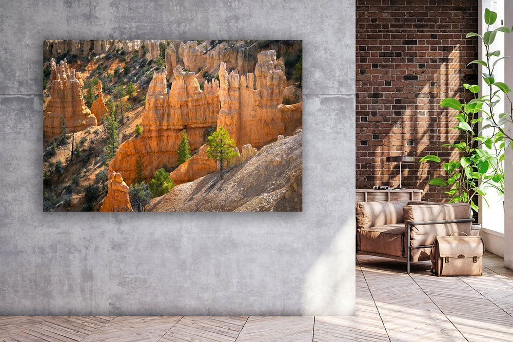 Fairyland Point, Bryce Canyon National Park, UT - Metal Print