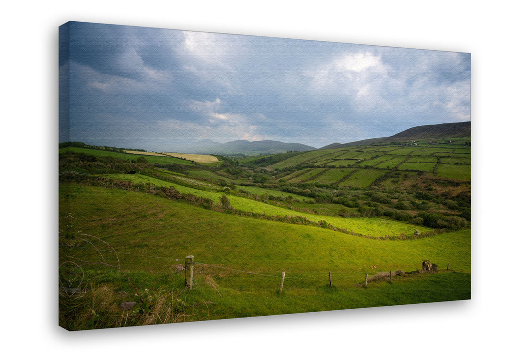 Fields of Green, County Kerry, Ireland