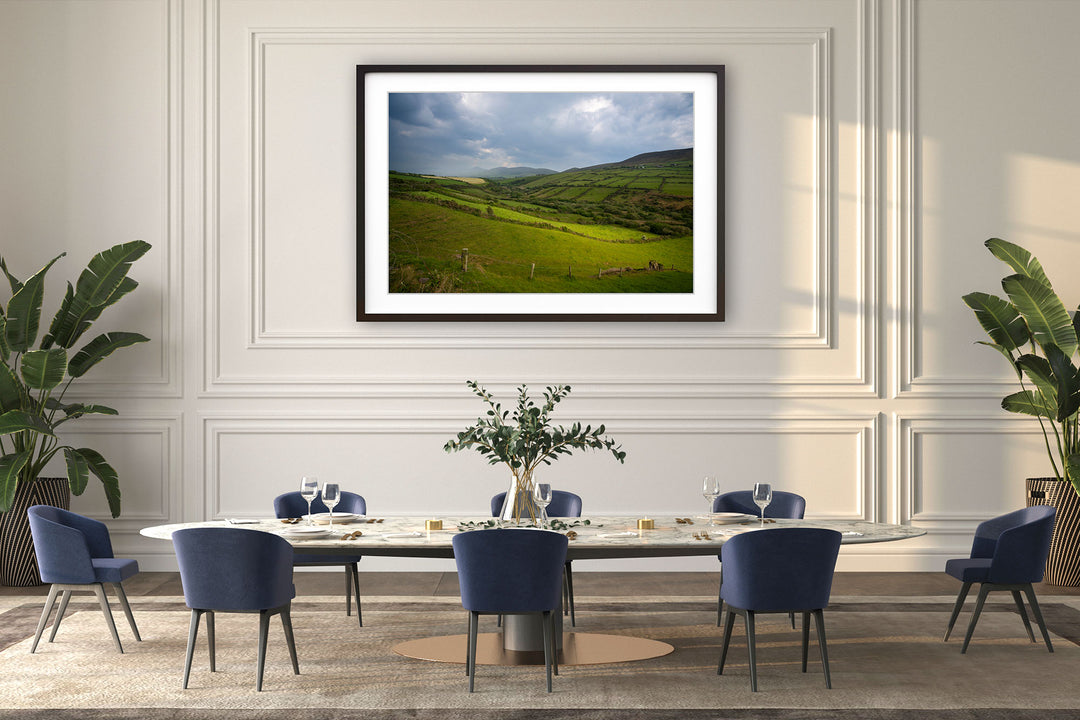 Fields of Green, County Kerry, Ireland