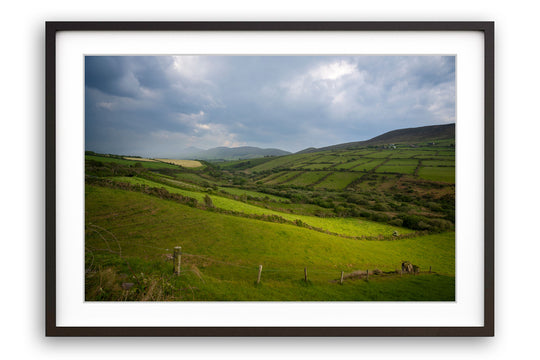 Fields of Green, County Kerry, Ireland