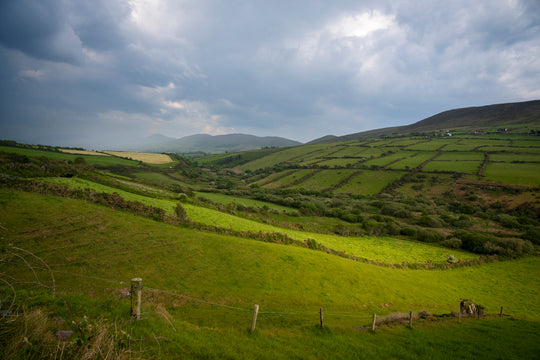 Fields of Green, County Kerry, Ireland