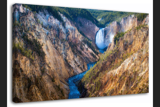 Upper Falls of the Yellowstone River, Yellowstone National Park, WY - Canvas Gallery Wrap