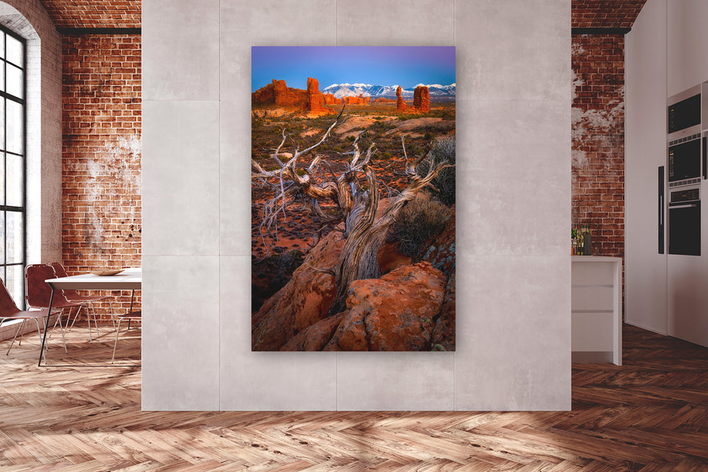 Pinyon Pine Overlooking Arches National Park, UT - Metal Print
