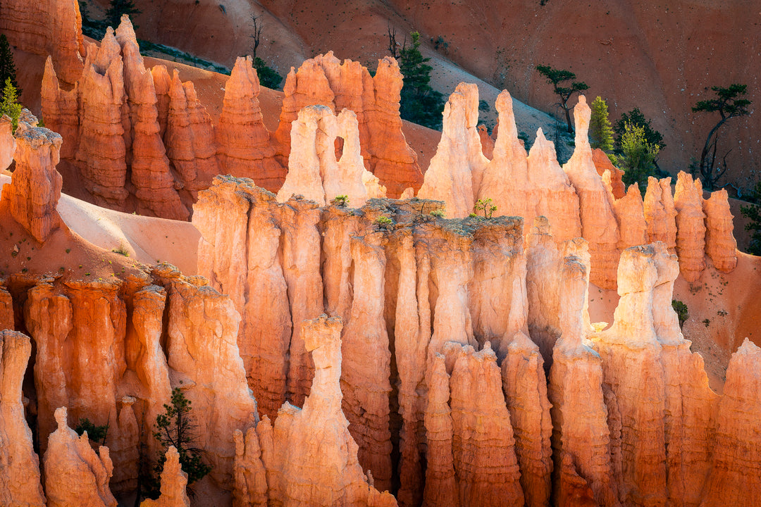 Hoodoos at Sunrise, Bryce Canyon National Park, UT