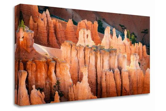 Hoodoos at Sunrise, Bryce Canyon National Park, UT - Canvas Gallery Wrap