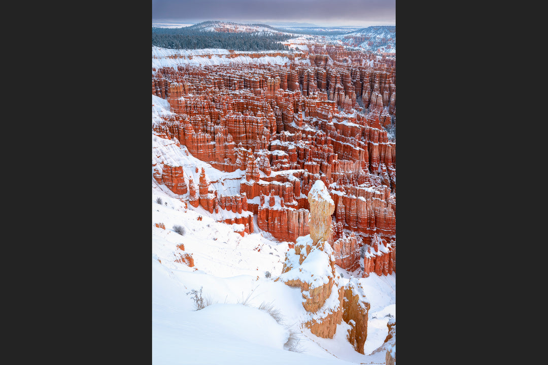 Fresh Snowfall at Inspiration Point, Bryce Canyon National Park, UT
