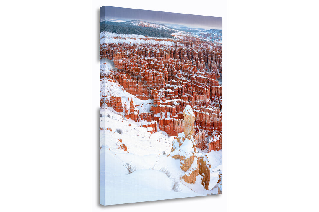 Fresh Snowfall at Inspiration Point, Bryce Canyon National Park, UT - Canvas Gallery Wrap