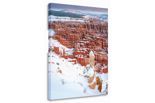 Fresh Snowfall at Inspiration Point, Bryce Canyon National Park, UT - Canvas Gallery Wrap