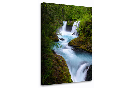 Spirit Falls, Columbia River Gorge, WA (Vertical) - Canvas Gallery Wrap
