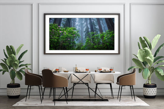 Redwoods and Rhododendrons Near Crescent City, CA - Framed Lustre Print on Wall