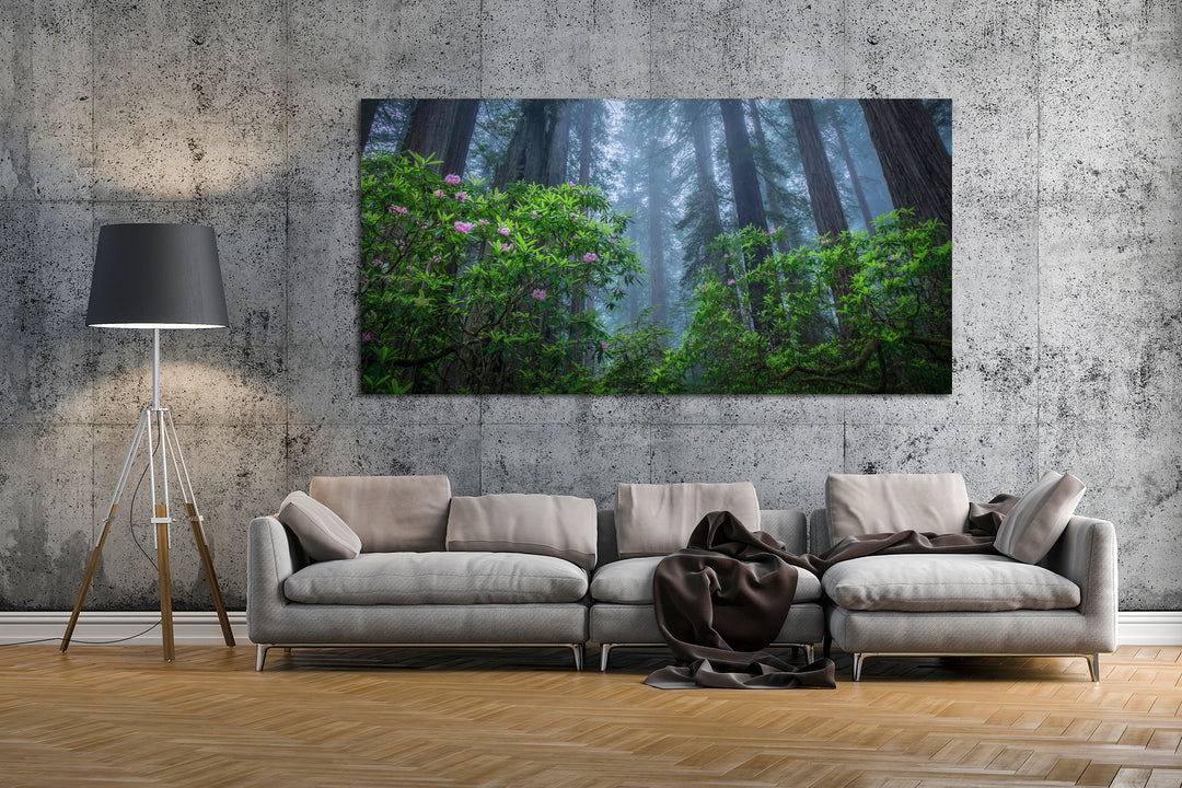 Redwoods and Rhododendrons Near Crescent City, CA - Metal Print