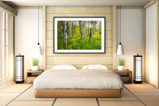 Sunset Behind Aspen Trees, Sawtooth National Forest, ID - Framed Lustre Print on Wall