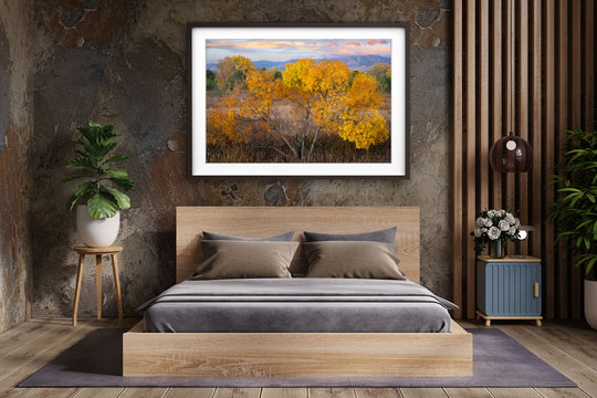 Autumn Leaves, Boulder County, CO - Framed Lustre Print on Wall