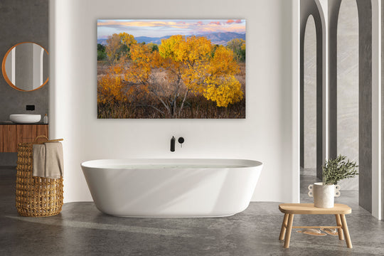 Autumn Leaves, Boulder County, CO - Metal Print