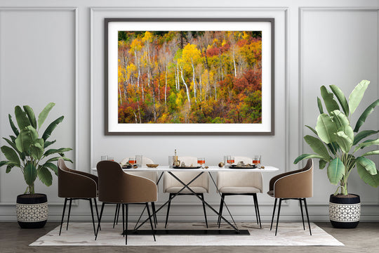 Aspen Forest and Fall Colors, CO - Framed Lustre Print on Wall