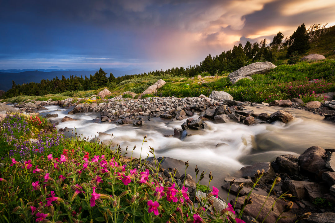 McGee Creek and Wildflower Meadow on Mount Hood, OR