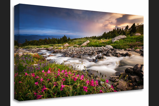 McGee Creek and Wildflower Meadow on Mount Hood, OR - Canvas Gallery Wrap