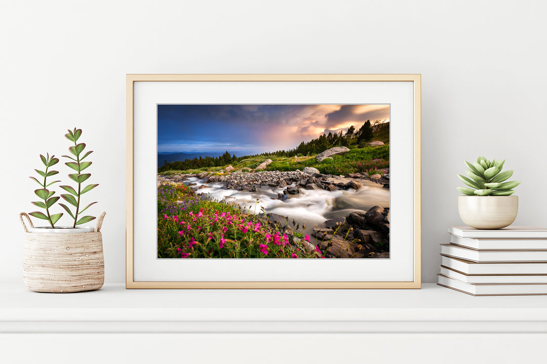 McGee Creek and Wildflower Meadow on Mount Hood, OR - Framed Lustre Print