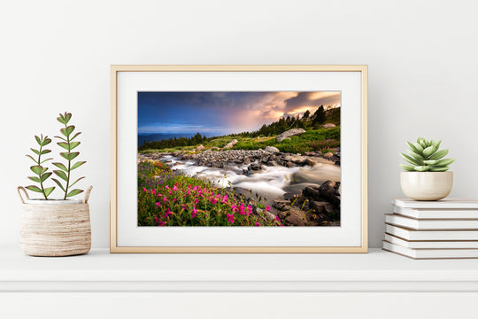 McGee Creek and Wildflower Meadow on Mount Hood, OR - Framed Lustre Print