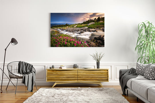 McGee Creek and Wildflower Meadow on Mount Hood, OR - Metal Print