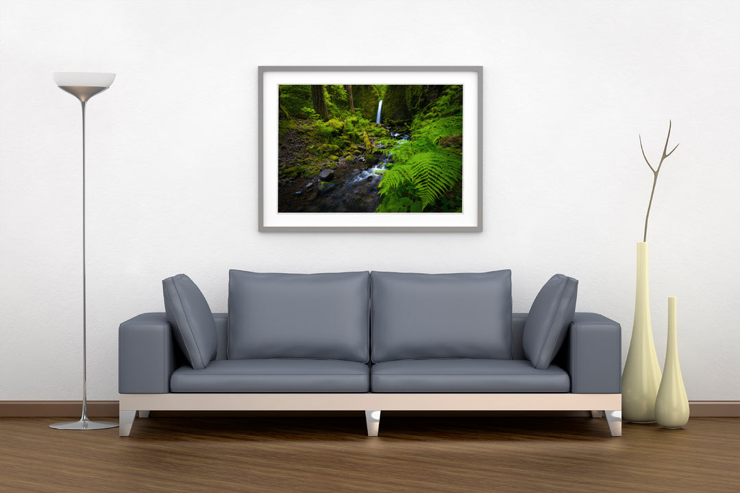 Waterfall and Ferns, Columbia River Gorge, OR - Framed Lustre Print on Wall