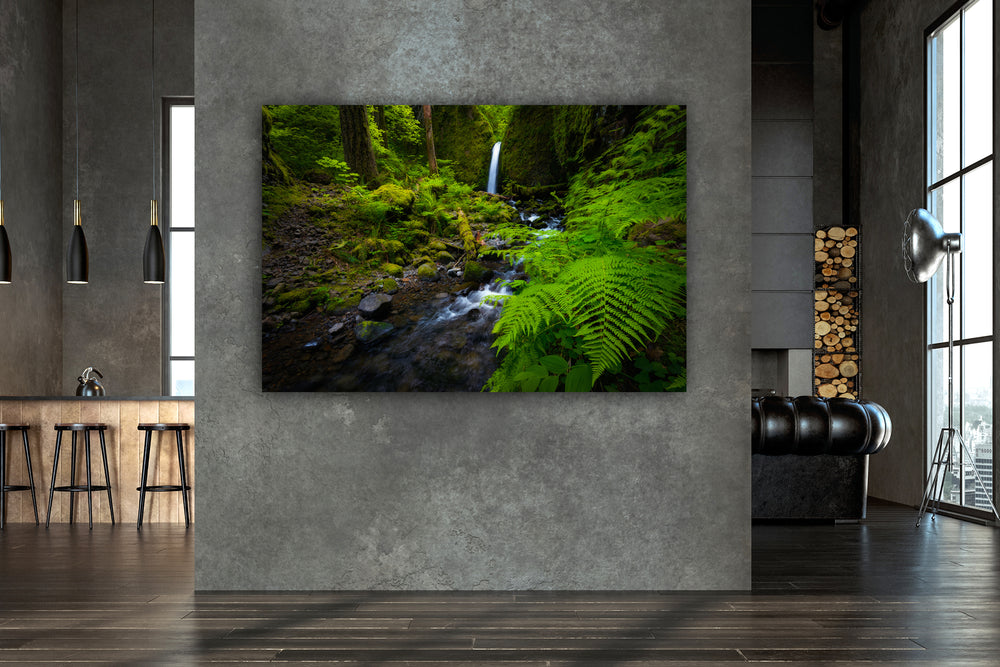 Waterfall and Ferns, Columbia River Gorge, OR - Metal Print